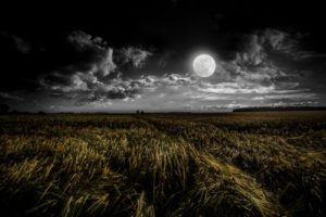 Chandra Moon