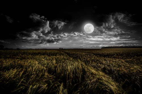 Chandra Moon