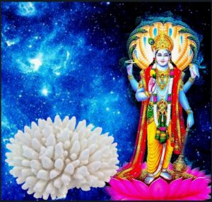 Vishnu Sahasranamam Swati Chodi Nakshatra
