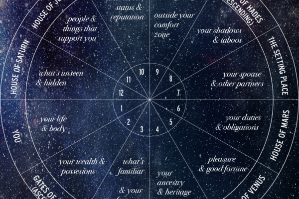 Different Houses in Vedic Astrology