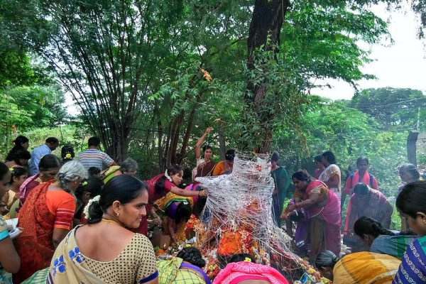 The Nag Panchami ceremony in India