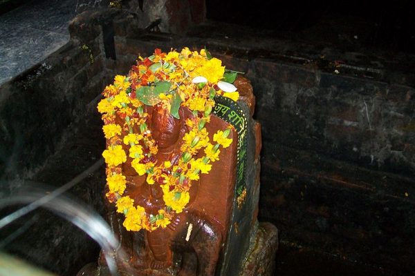 Idol worship on Shani Jayanti