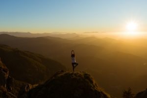 Chamara yoga image