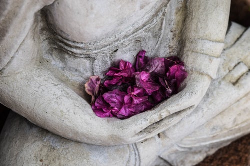 Picture of Bheri Yoga